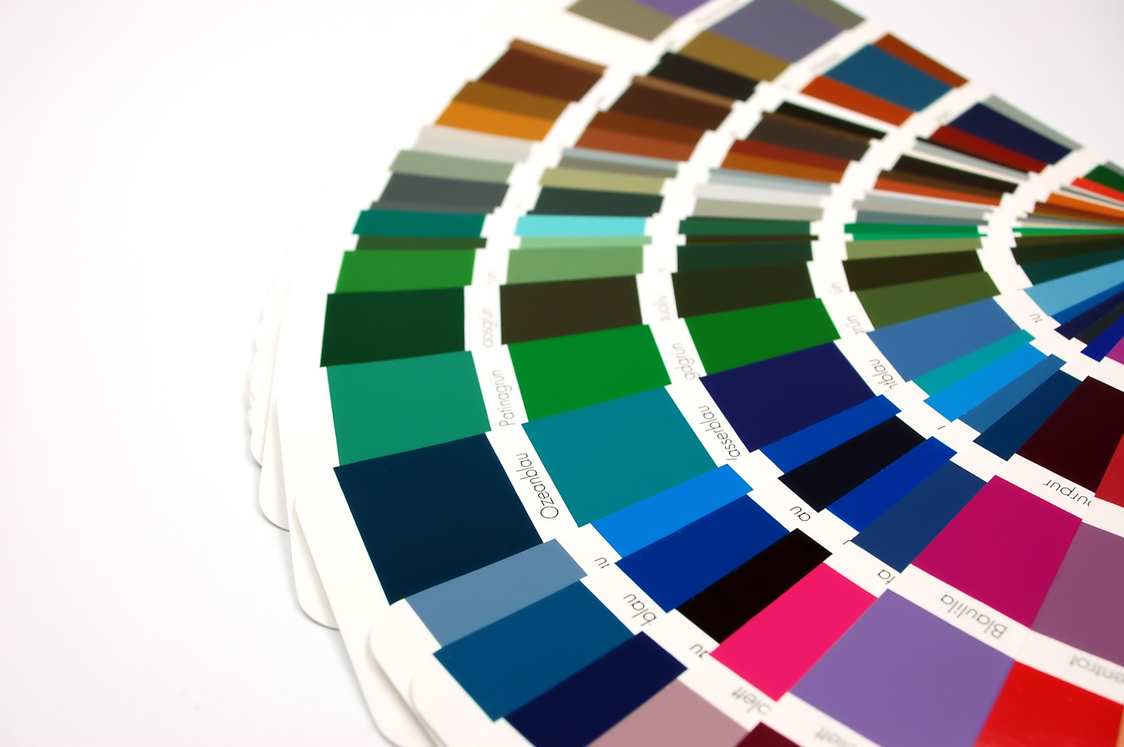 cedb19aac0cea8d0235a67a2aaa9e4a3_1785385371_8454.jpg